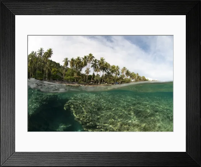 Framed Print : Picture No. 11674899 Framed Print : Picture No. 11674899