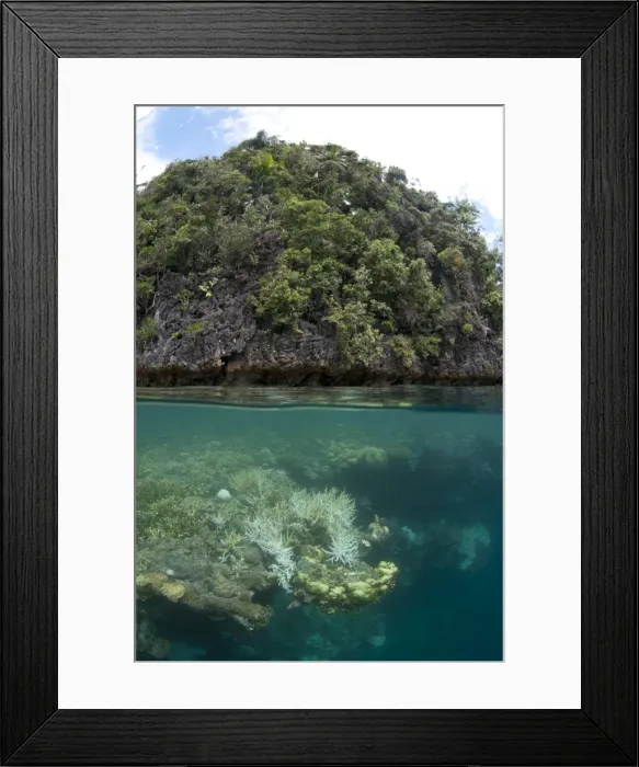 Framed Print : Picture No. 11674900 Framed Print : Picture No. 11674900