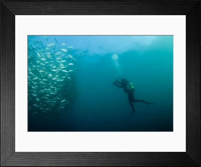 Framed Print : Picture No. 11674905 Framed Print : Picture No. 11674905