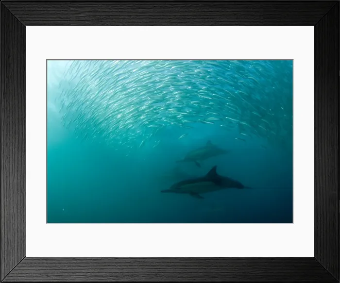Framed Print : Picture No. 11674910 Framed Print : Picture No. 11674910