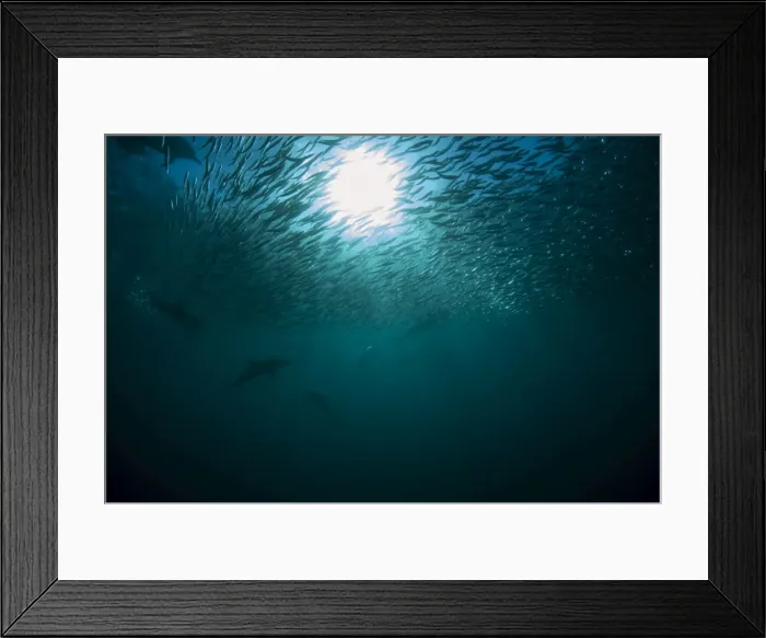 Framed Print : Picture No. 11674924 Framed Print : Picture No. 11674924