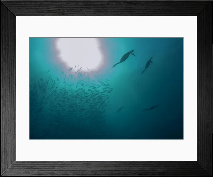 Framed Print : Picture No. 11674928 Framed Print : Picture No. 11674928
