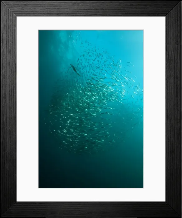 Framed Print : Picture No. 11674930 Framed Print : Picture No. 11674930