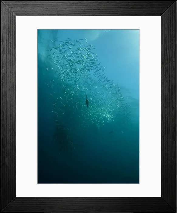 Framed Print : Picture No. 11674931 Framed Print : Picture No. 11674931