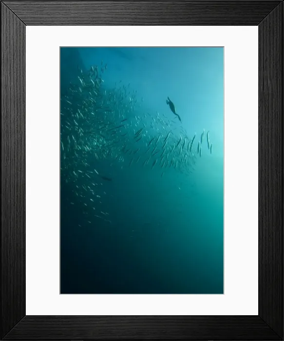 Framed Print : Picture No. 11674929 Framed Print : Picture No. 11674929