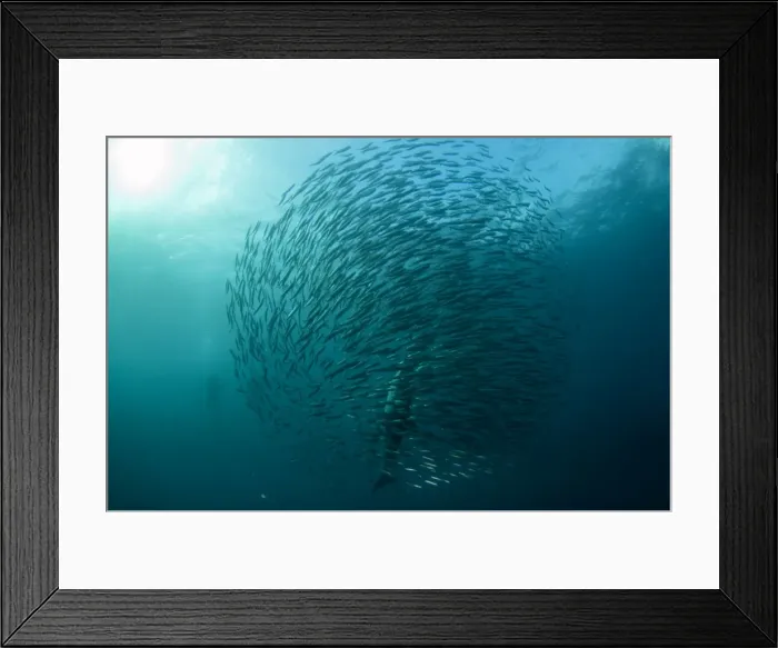 Framed Print : Picture No. 11674932 Framed Print : Picture No. 11674932