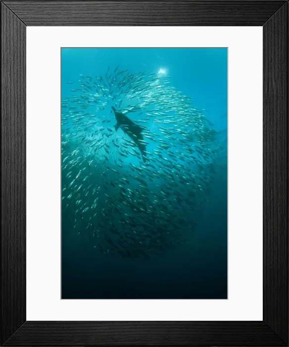 Framed Print : Picture No. 11674933 Framed Print : Picture No. 11674933