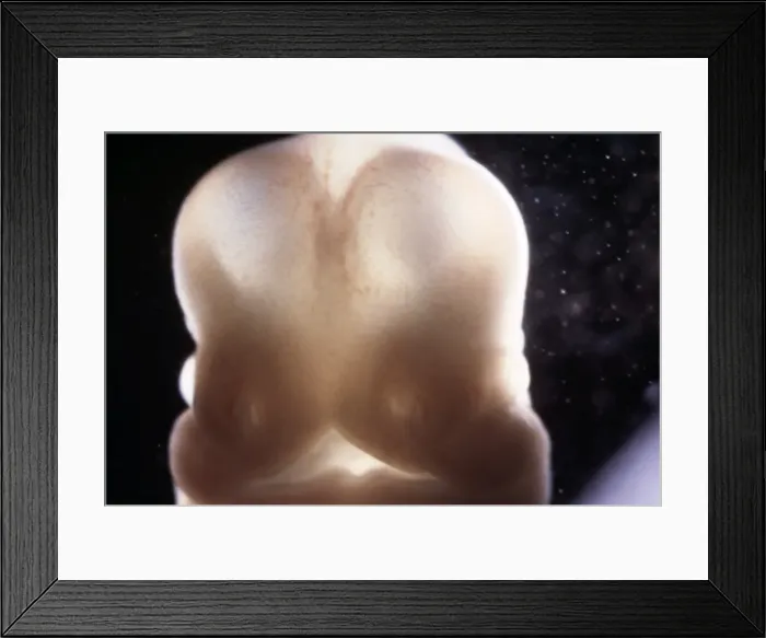 Framed Print : Picture No. 11675501 Framed Print : Picture No. 11675501