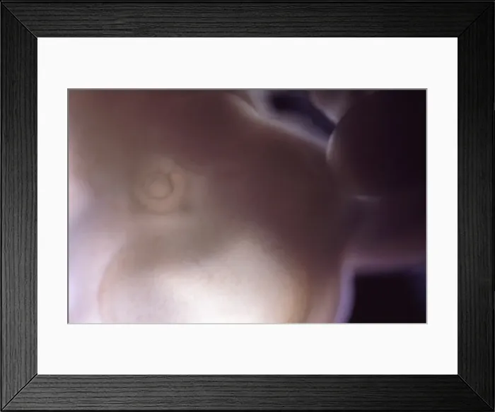 Framed Print : Picture No. 11675502 Framed Print : Picture No. 11675502