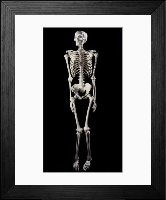 Framed Print : Picture No. 11675546 Framed Print : Picture No. 11675546