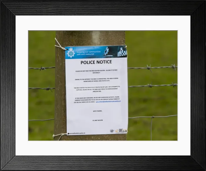 Framed Print : Picture No. 11675646 Framed Print : Picture No. 11675646