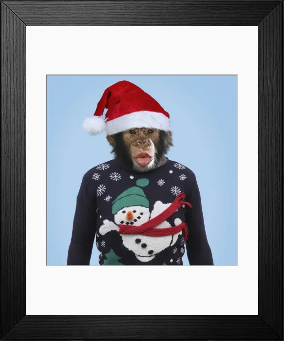 Framed Print : Picture No. 11675655 Framed Print : Picture No. 11675655