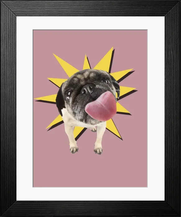 Framed Print : Picture No. 11675657 Framed Print : Picture No. 11675657