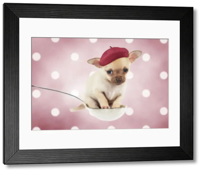 Framed Print : Picture No. 11675659 Framed Print : Picture No. 11675659