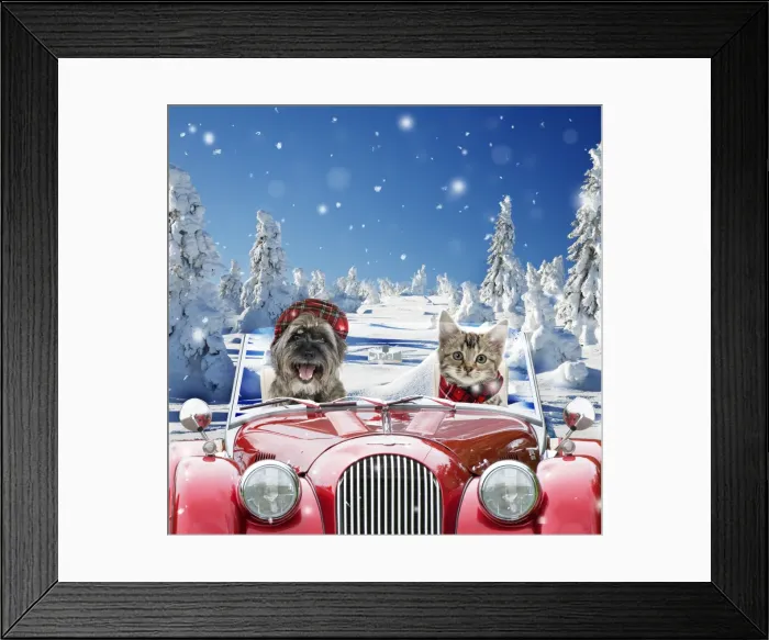 Framed Print : Picture No. 11675658 Framed Print : Picture No. 11675658