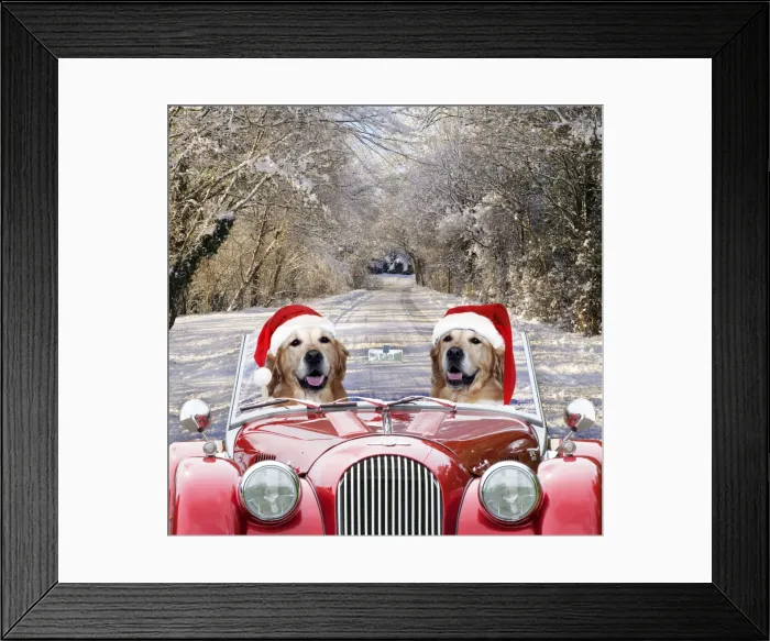 Framed Print : Picture No. 11675663 Framed Print : Picture No. 11675663