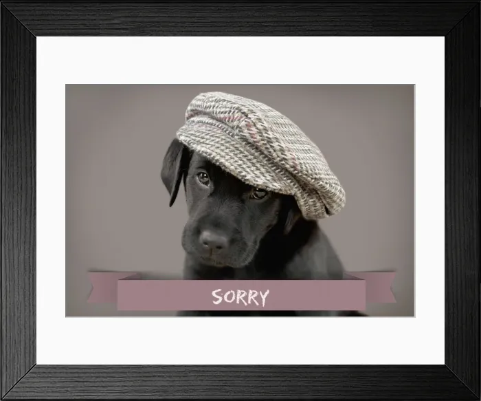 Framed Print : Picture No. 11675667 Framed Print : Picture No. 11675667