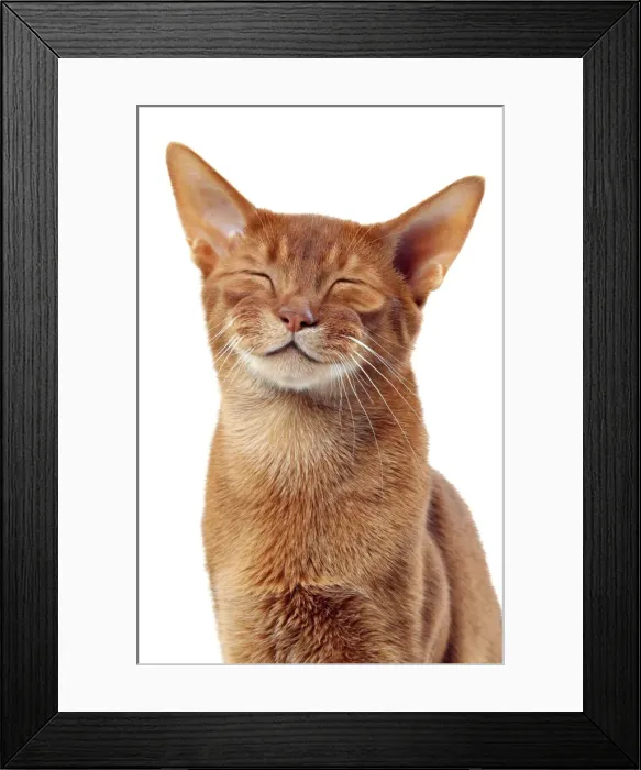 Framed Print : Picture No. 11675670 Framed Print : Picture No. 11675670
