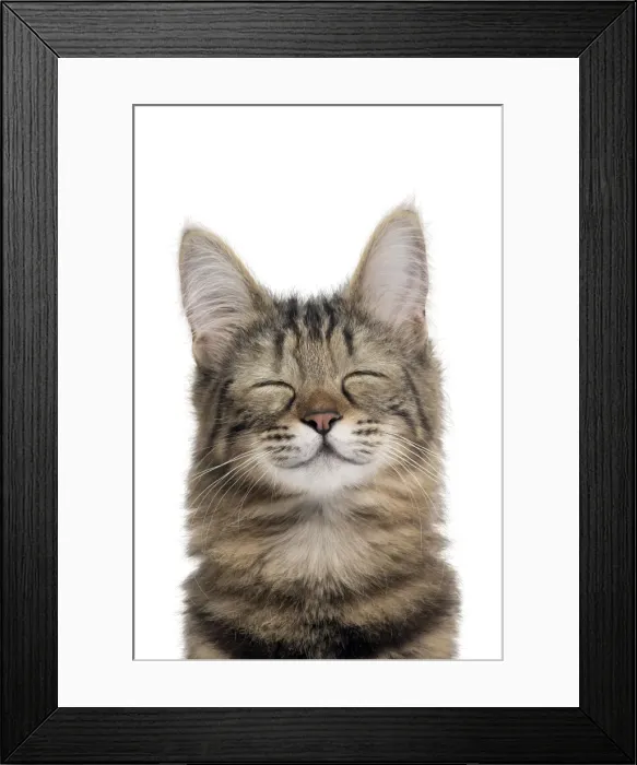 Framed Print : Picture No. 11675676 Framed Print : Picture No. 11675676
