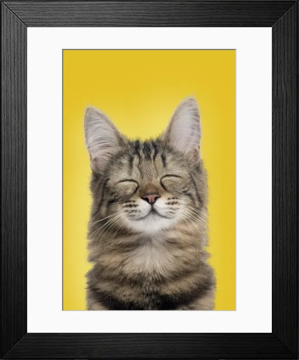 Framed Print : Picture No. 11675677 Framed Print : Picture No. 11675677
