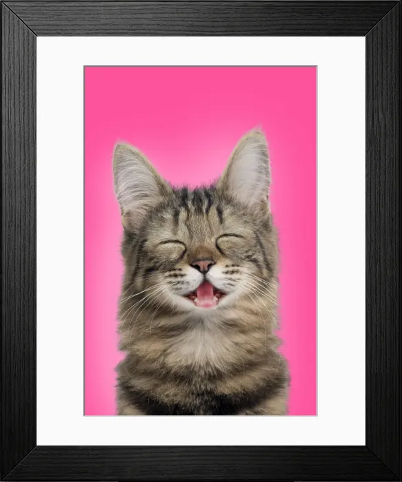 Framed Print : Picture No. 11675678 Framed Print : Picture No. 11675678