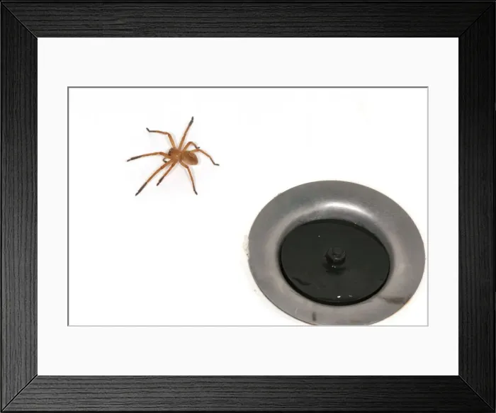 Framed Print : Picture No. 11676060 Framed Print : Picture No. 11676060