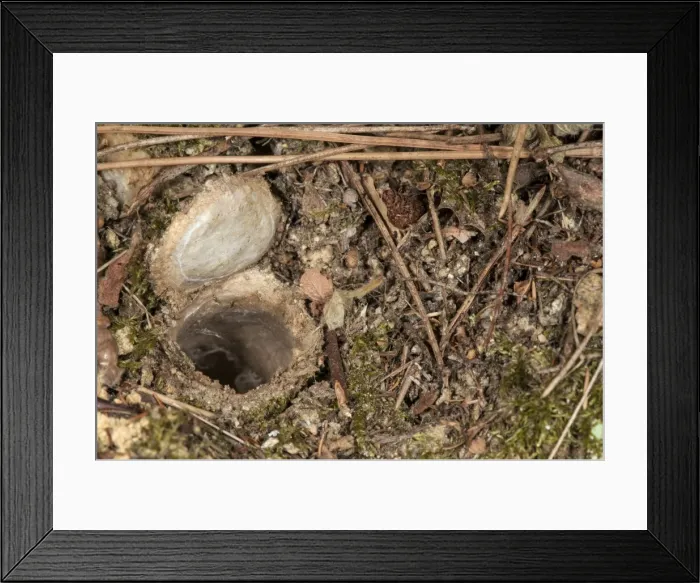Framed Print : Picture No. 11676073 Framed Print : Picture No. 11676073