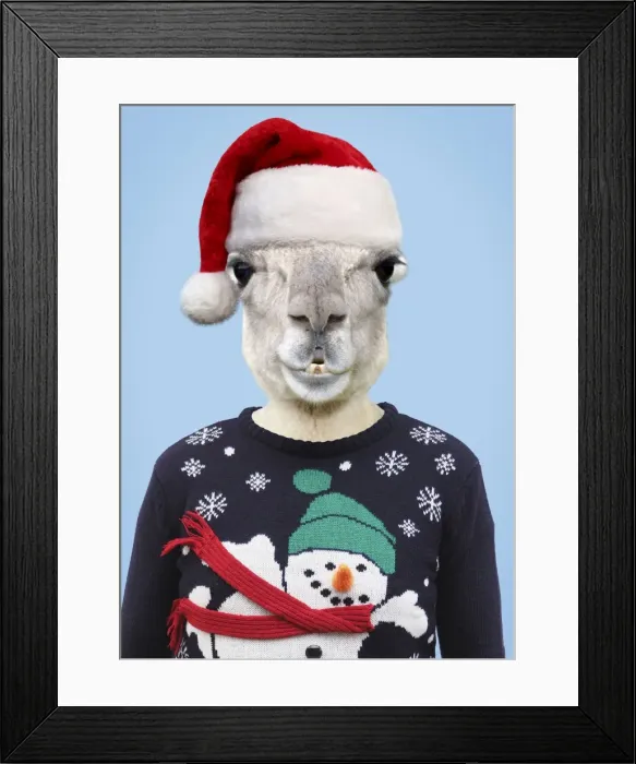 Framed Print : Picture No. 11675684 Framed Print : Picture No. 11675684
