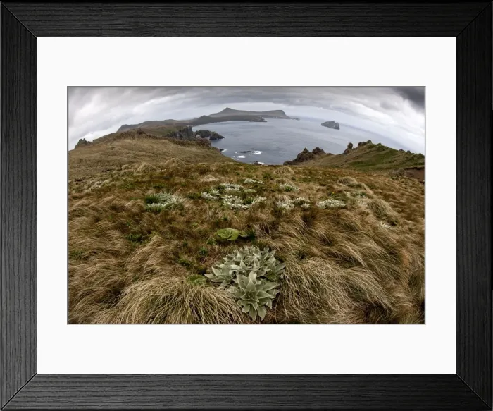 Framed Print : Picture No. 11675725 Framed Print : Picture No. 11675725