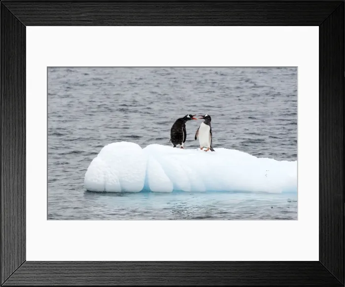 Framed Print : Picture No. 11675758 Framed Print : Picture No. 11675758