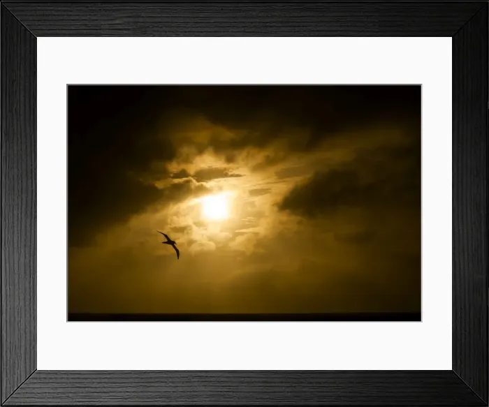Framed Print : Picture No. 11675769 Framed Print : Picture No. 11675769