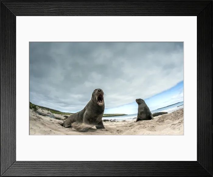Framed Print : Picture No. 11675857 Framed Print : Picture No. 11675857