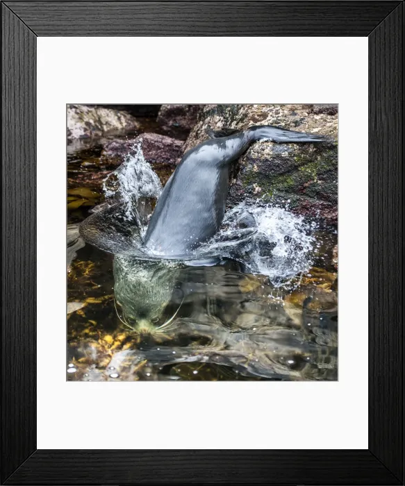 Framed Print : Picture No. 11675879 Framed Print : Picture No. 11675879