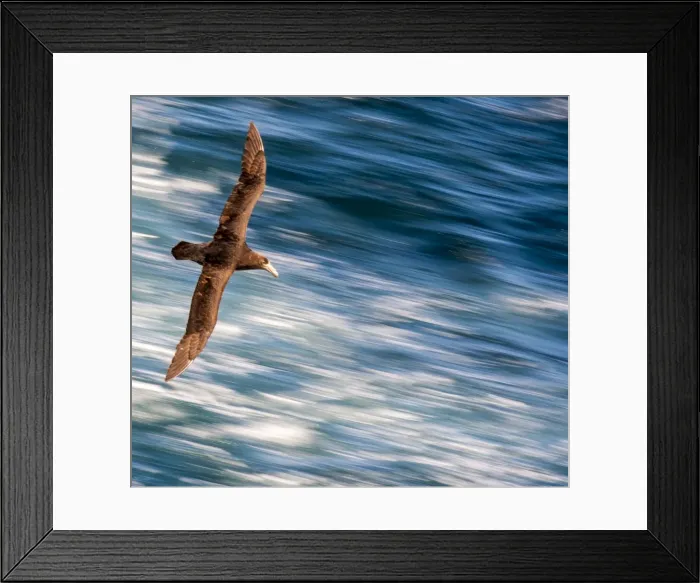 Framed Print : Picture No. 11675944