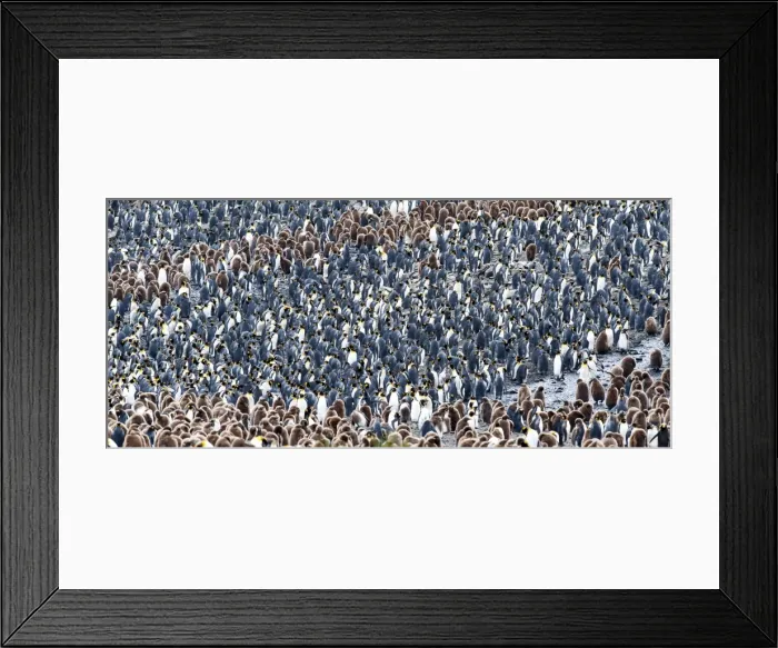 Framed Print : Picture No. 11675948 Framed Print : Picture No. 11675948