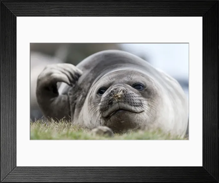 Framed Print : Picture No. 11675953