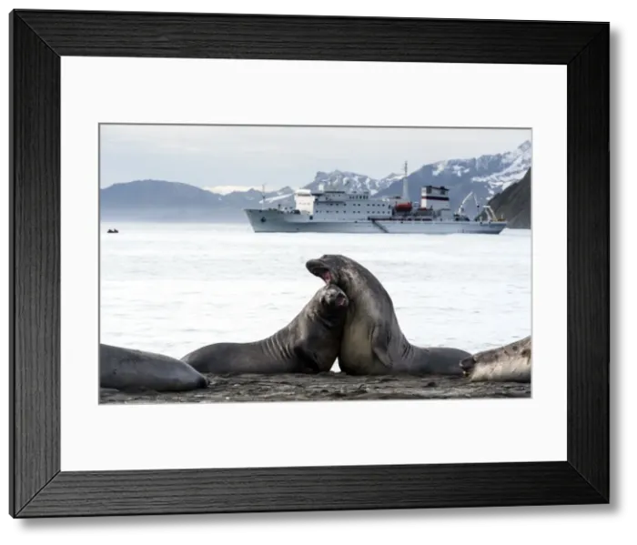 Framed Print : Picture No. 11675954 Framed Print : Picture No. 11675954