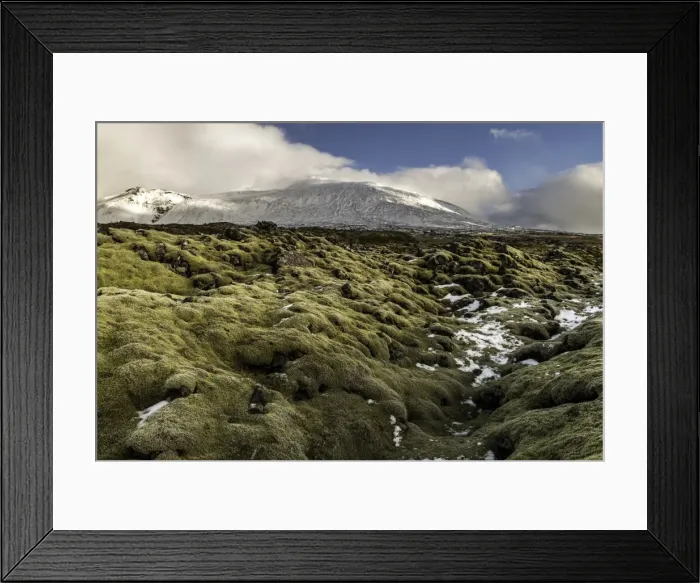 Framed Print : Picture No. 11675968 Framed Print : Picture No. 11675968