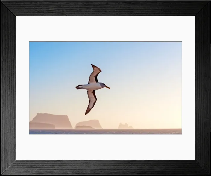 Framed Print : Picture No. 11675975 Framed Print : Picture No. 11675975