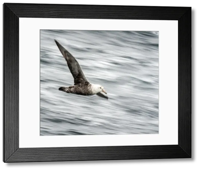 Framed Print : Picture No. 11675976 Framed Print : Picture No. 11675976