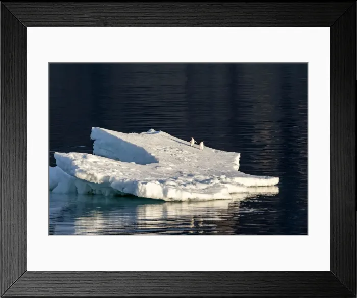 Framed Print : Picture No. 11675979 Framed Print : Picture No. 11675979