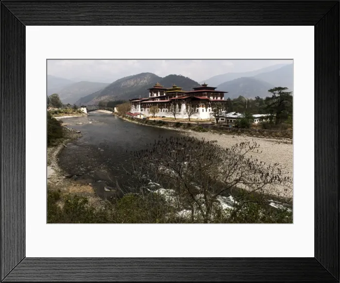 Framed Print : Picture No. 11675993 Framed Print : Picture No. 11675993