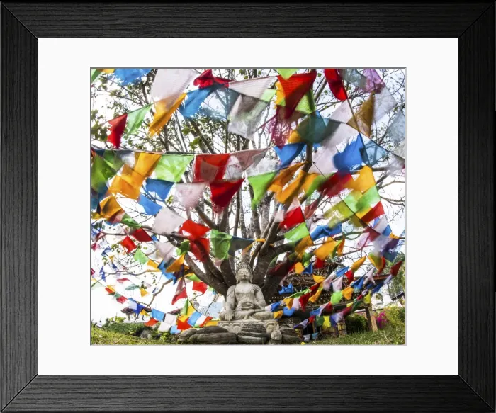 Framed Print : Picture No. 11675994 Framed Print : Picture No. 11675994