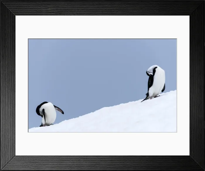 Framed Print : Picture No. 11676003 Framed Print : Picture No. 11676003