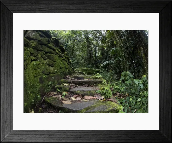 Framed Print : Picture No. 11675690 Framed Print : Picture No. 11675690