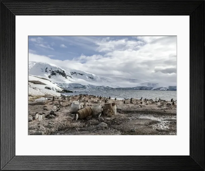 Framed Print : Picture No. 11675693 Framed Print : Picture No. 11675693