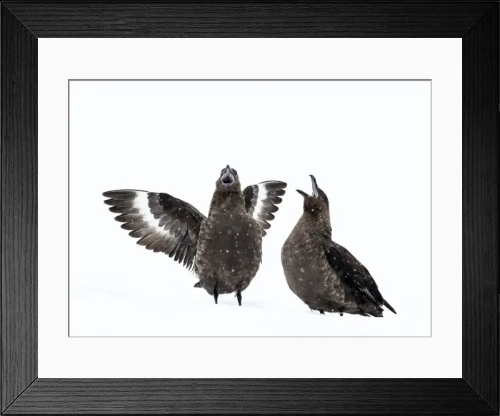 Framed Print : Picture No. 11675696 Framed Print : Picture No. 11675696