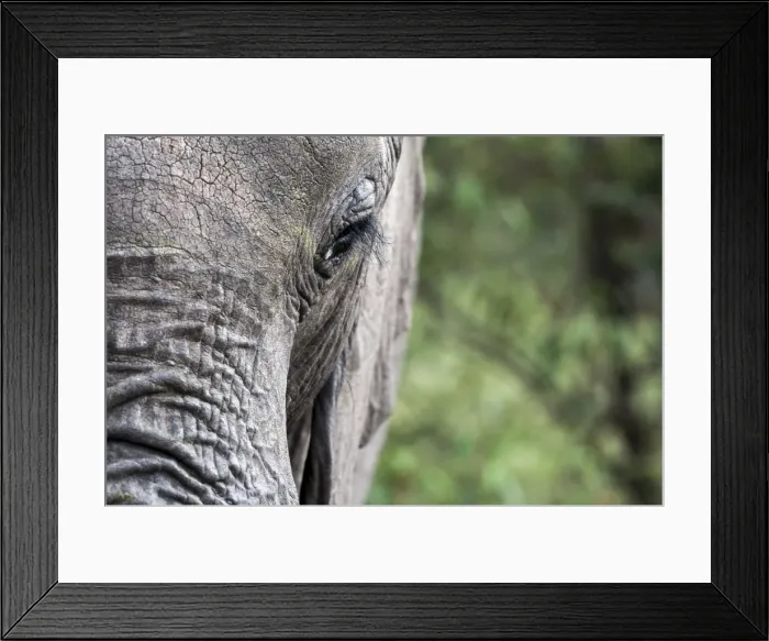 Framed Print : Picture No. 11675705 Framed Print : Picture No. 11675705