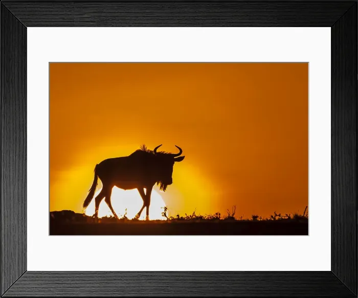 Framed Print : Picture No. 11675711 Framed Print : Picture No. 11675711