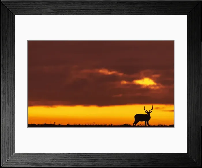 Framed Print : Picture No. 11675714 Framed Print : Picture No. 11675714
